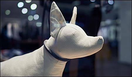 dog mannequin header pic