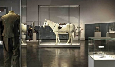 museum pedestal showcases multiple sizes LG