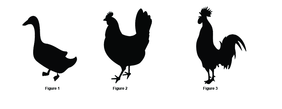 Feathered Farm Animals Silhouette 01