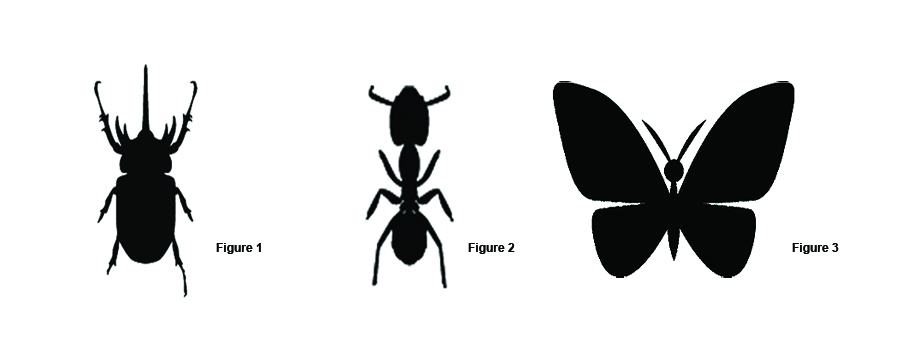 Insect Silhouette 01