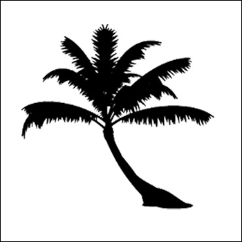 Palm Tree Silhouettes