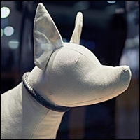 r3 index store dog mannequins 200