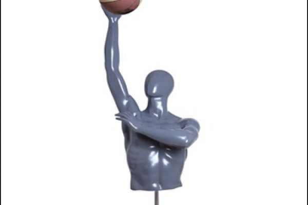 basketball-mannequin-2755F364F-D097-D157-9C4E-1DE4381DE0E3.jpg