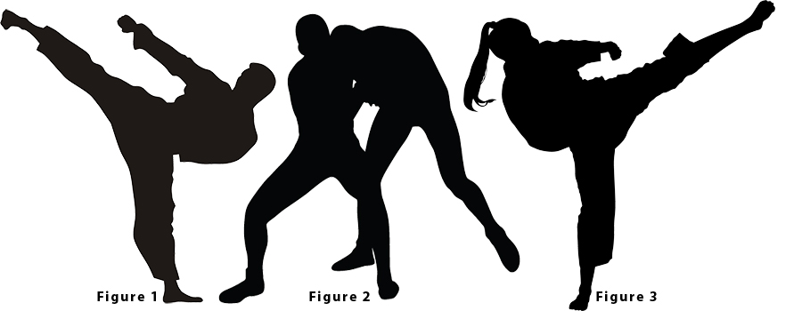 sports silhouette signs martialarts choices